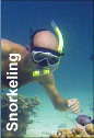 Snorkeling Programmes