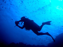 Learn to Dive Scuba Cat Diving Phuket Thailand Learn to Dive Scuba Cat Diving Phuket Thailand