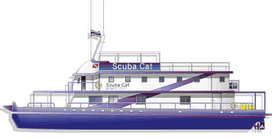 M/V scuba cat - Illustration