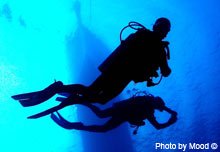 divers descending from surface