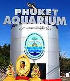 Scuba Cat Diving Phuket Thailand Things to do in Phuket