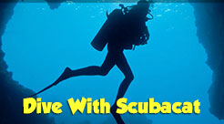 Scuba Diving, Go Pro