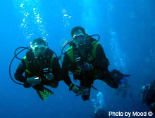 Scuba Diver Courses